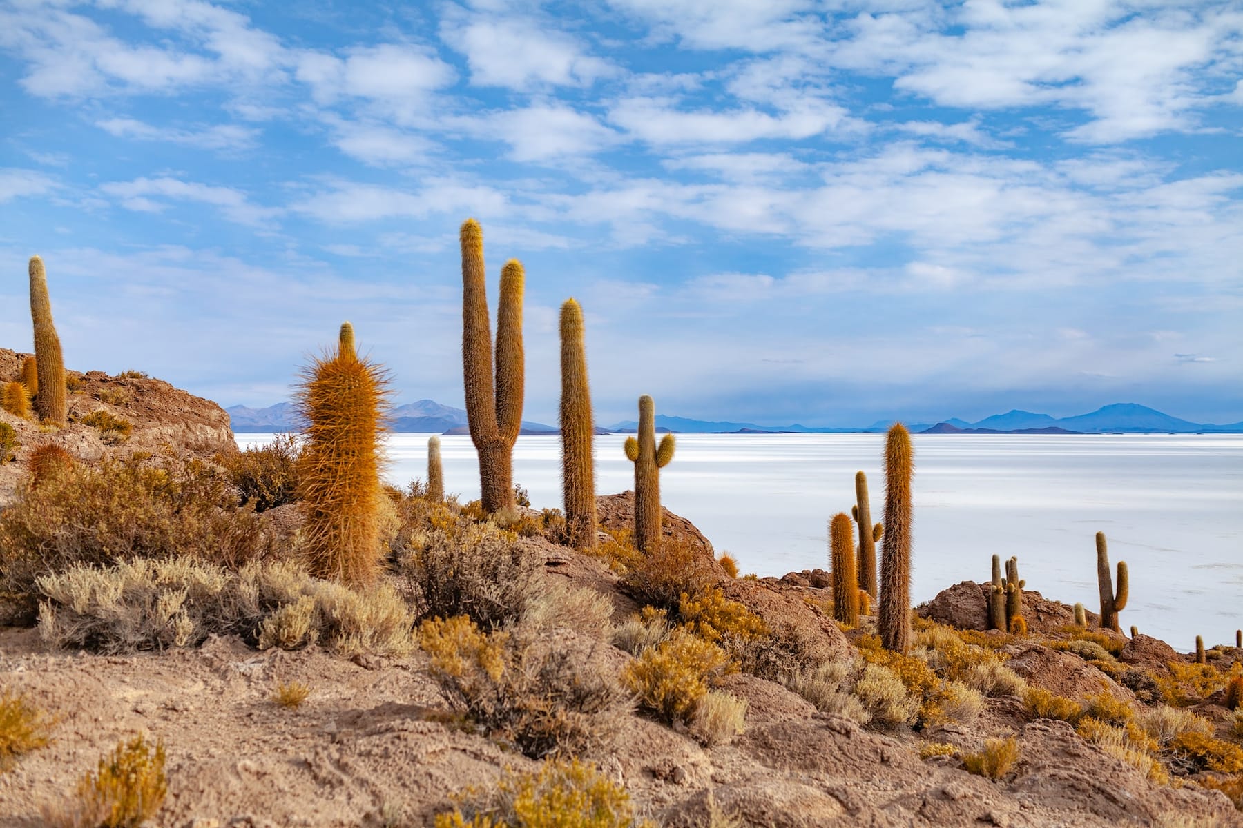 Discover the ends of the earth with Spanish 